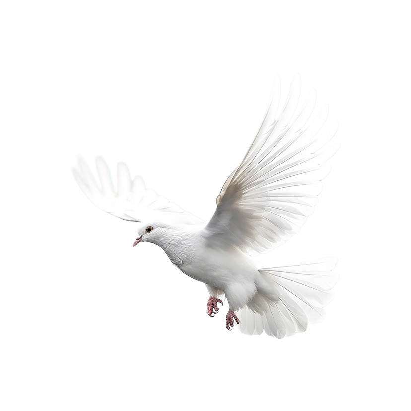 dove